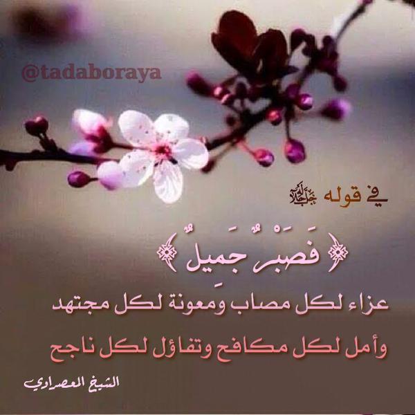 لا تأمنوا لاحد يعمل من اجل باطل 31/12/2014