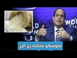 السيسي-رز