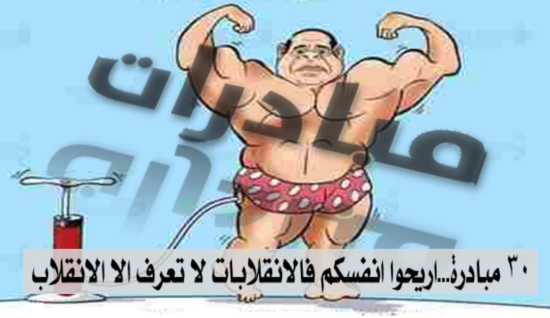 ٣٠ مبادرة...اريحوا انفسكم فالانقلابات لا تعرف الا الانقلاب