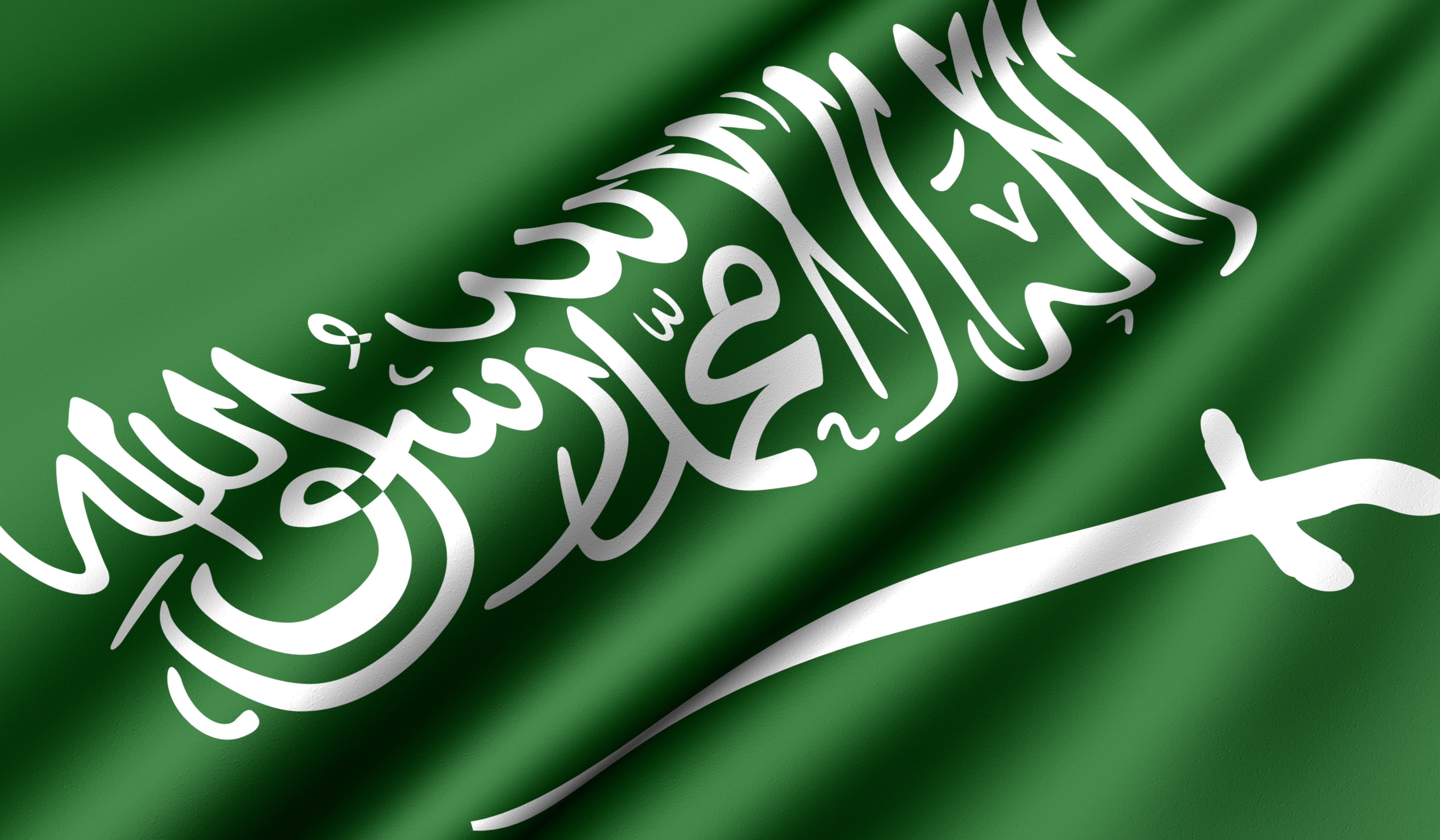 العلماء اعلنوا موقفهم من مؤتمر الشيشان فما هو الموقف الرسمي للسعودية ؟؟